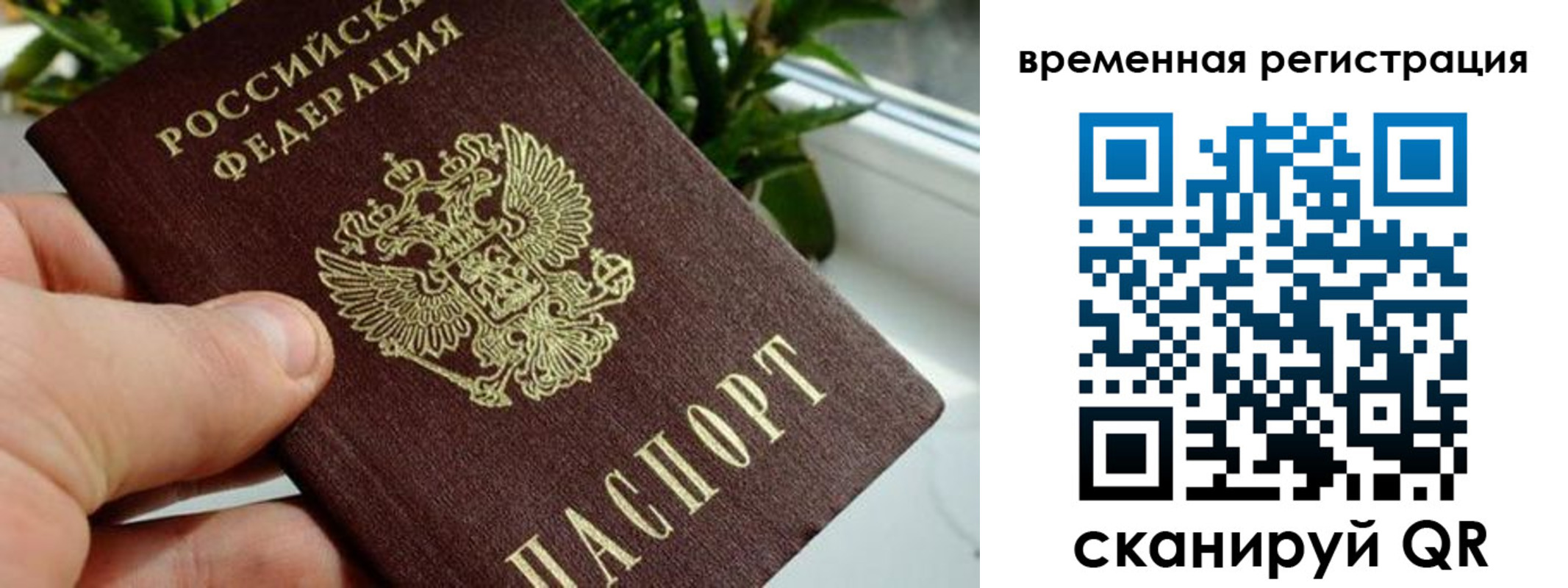 прописка поиск в Отрадном